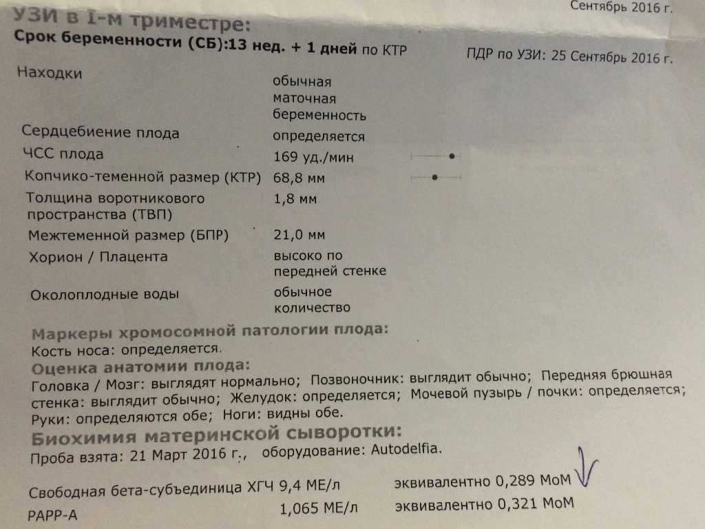 Допплерометрия при беременности – исследование кровотока и сосудов плода, плаценты, матки и маточных артерий. показатели нормы по неделям, расшифровка результатов