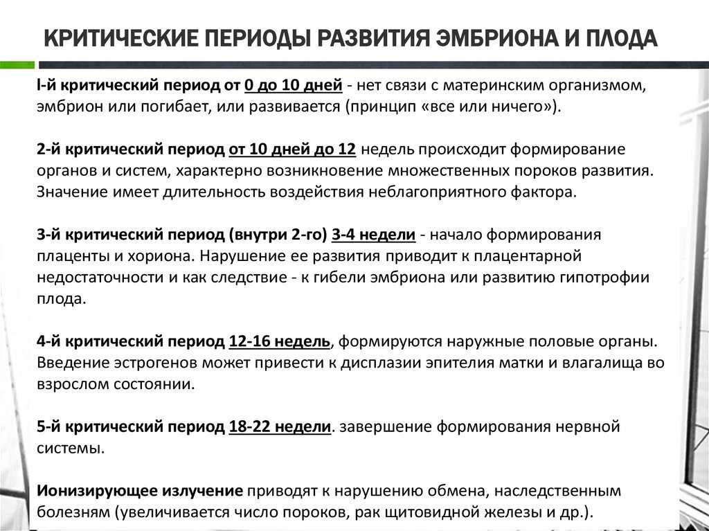Самые опасные недели беременности в первом триместре