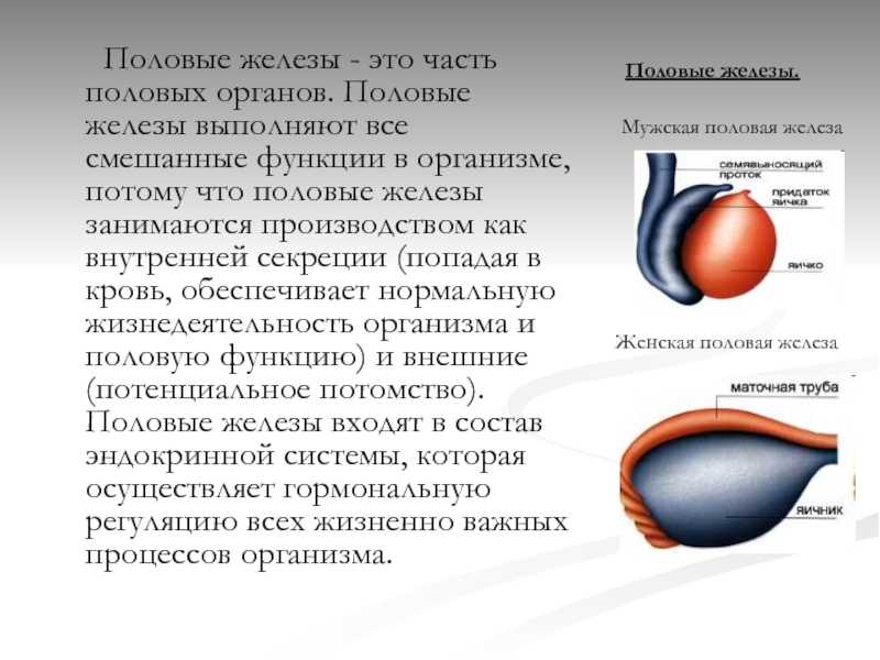 68. человек и его здоровье
                                читать 0 мин.