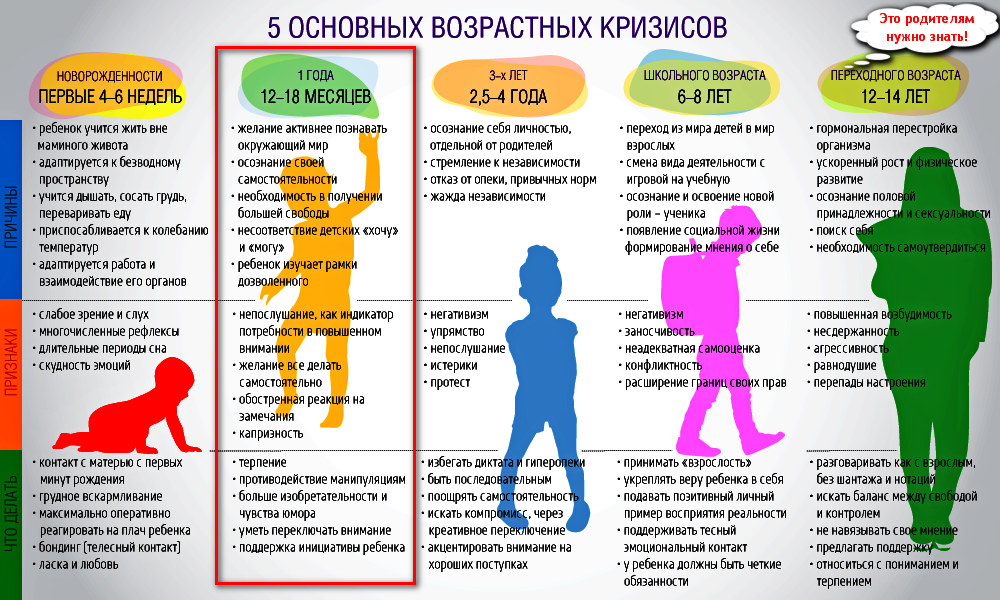 Развитие речи на первом году жизни. 10-12 месяцев