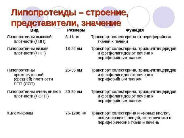 Гиполипидемическая диета: что это и как на ней похудеть
