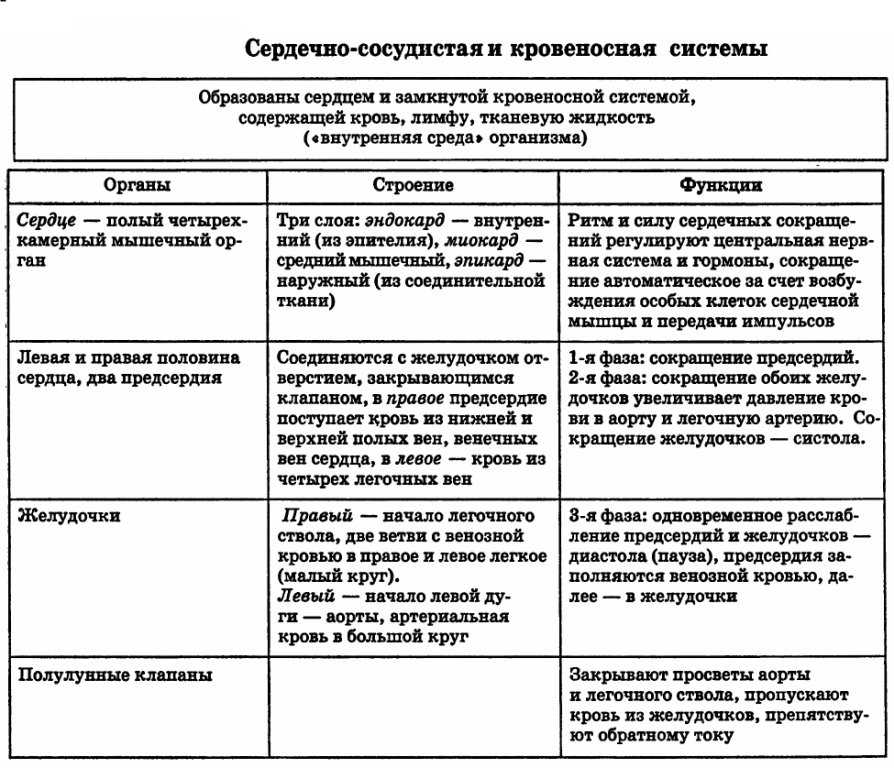 Венозная кровь