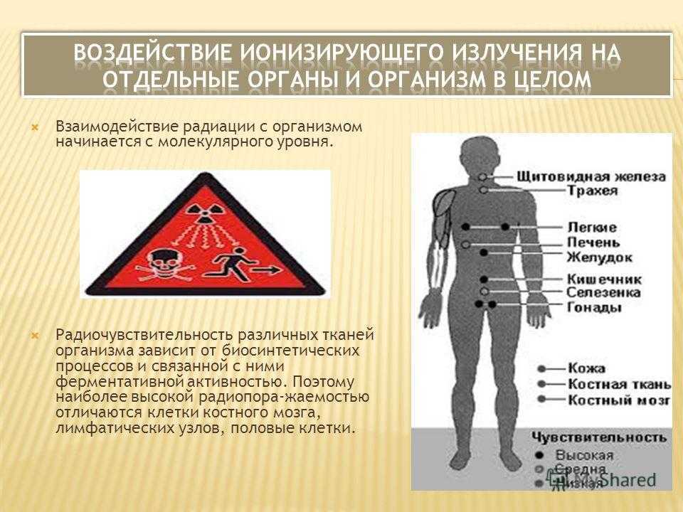 Ионизирующее излучение — влияние на человека, источники и виды излучений, основные потоки и деление атомов