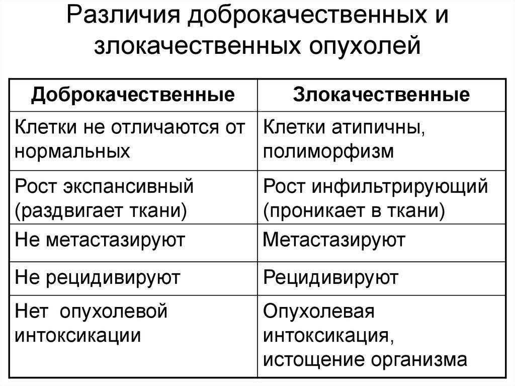 Как выглядит опухоль при раке: чем отличается рак от опухоли, всегда ли опухоль это рак, отличие рака от опухоли | клиники «евроонко»