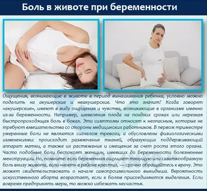 Тридцать восьмая неделя беременности