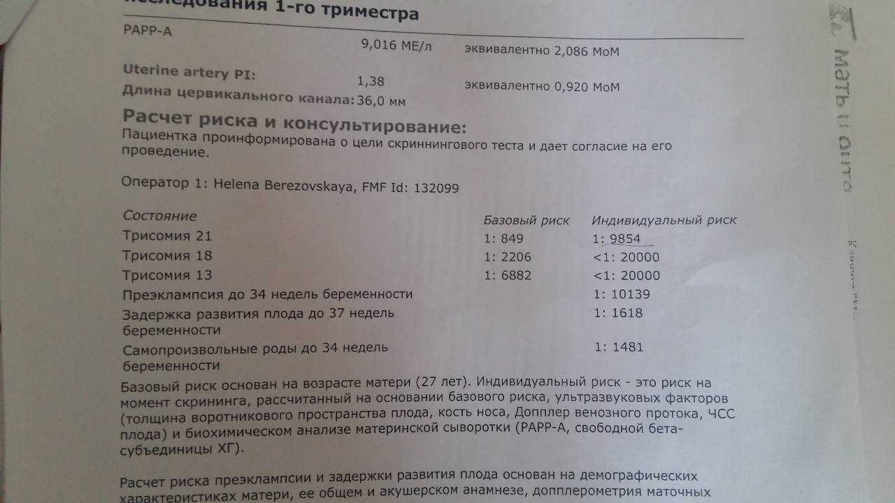 Развитие эмбриона и плода - седьмая неделя беременности | планирование беременности