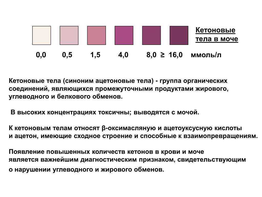 Кетоновые тела в моче — нормы в анализе мочи, причины кетонурии, лечение