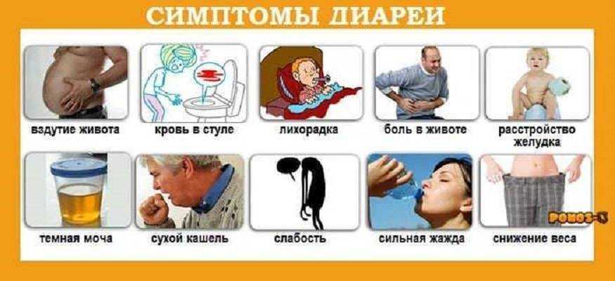 Почему от жирной пищи возникает понос и как с этим бороться