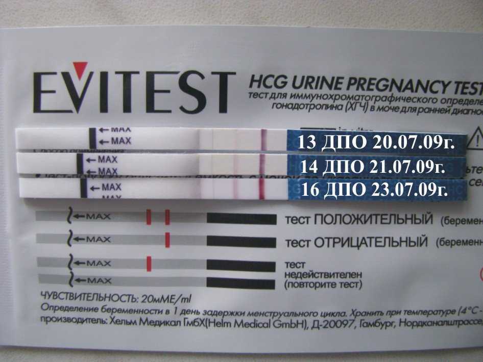 Из-за чего могут ошибаться тесты на беременность   | материнство - беременность, роды, питание, воспитание