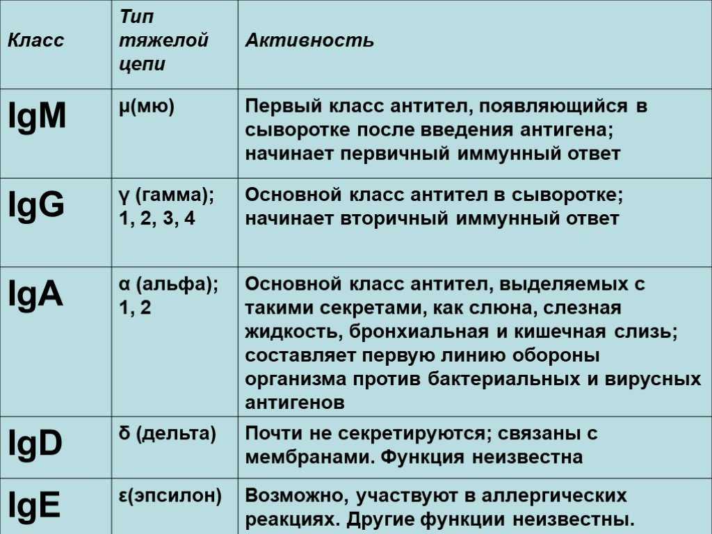 Всё об иммуноглобулинах