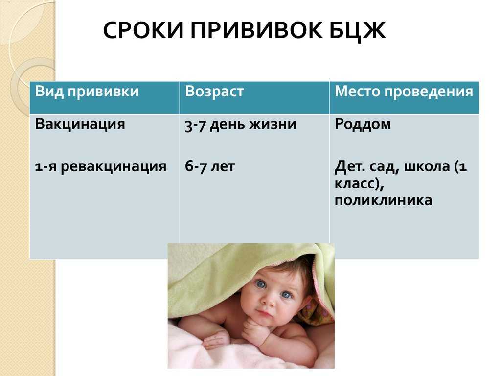 Прививка бцж: расшифровка по буквам, состав вакцины, ревакцинация