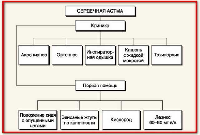 Сердечная астма. лечение сердечной астмы средствами народной медицины