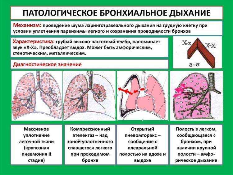 Голосовое дрожание при усилении и ослаблении: причины и способы контроля