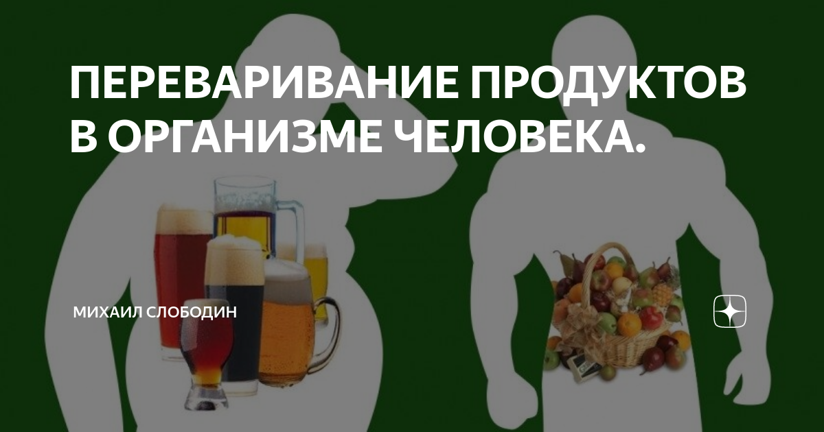 Сколько переваривается пища и жидкость в желудке человека