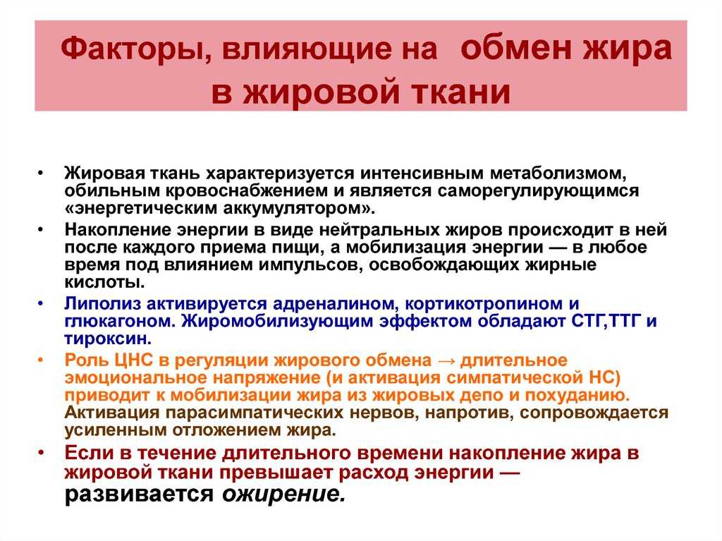 Нарушение липидного обмена: результаты исследования