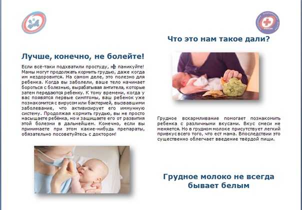 Зефир при грудном вскармливании