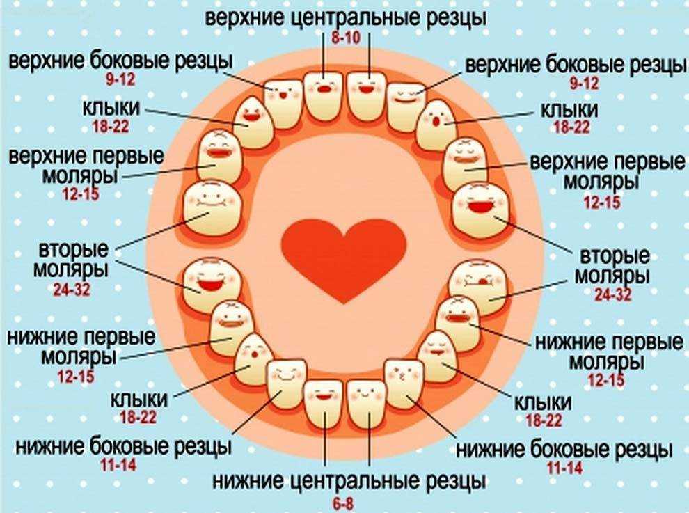 Акдс во время прорезывания зубов — можно ли делать прививки в этот период по мнению доктора комаровского? - медработник