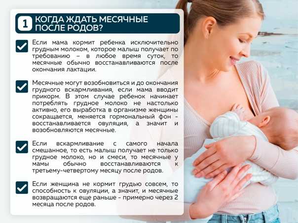 Когда начинаются месячные после родов: через сколько после рождения ребенка пойдут месячные | o.b.®