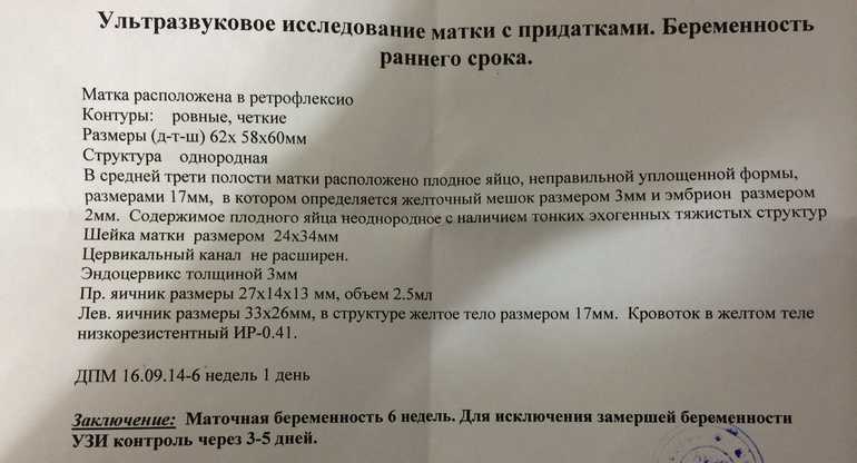Длина шейки матки при беременности: нормы по неделям