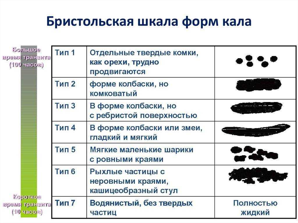 Почему после приема алкоголя, запоя, пьянок может начаться понос