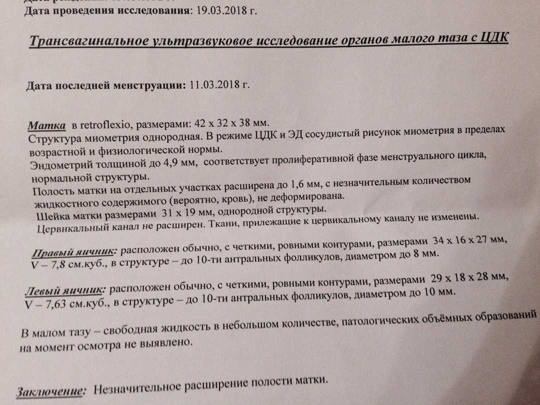 Расшифровка гинекологического узи: что стоит за строками врачебного протокола