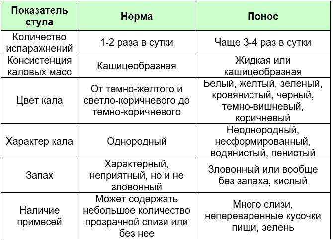 Понос после жирной пищи: причины, диагностика и лечение