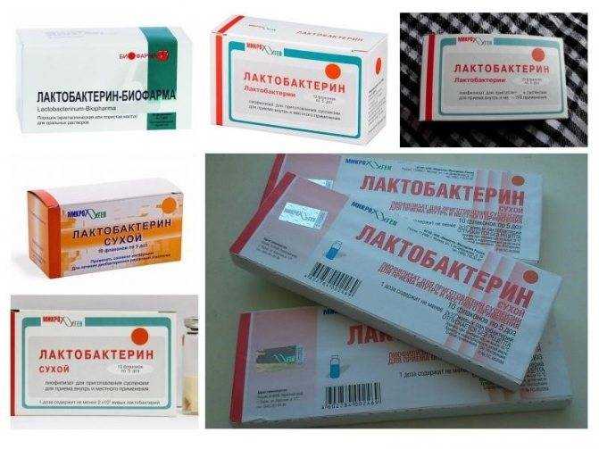 Лактобактерин для новорожденных: как разводить и давать лекарство