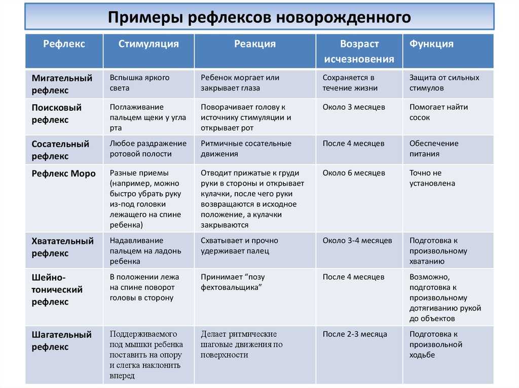 Нервная система ребенка до года, новорожденного | учитель немецкого