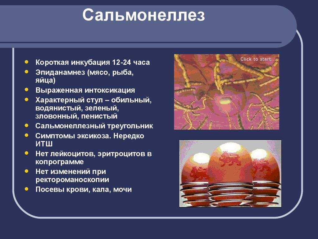 Сальмонеллез у детей: симптомы и лечение