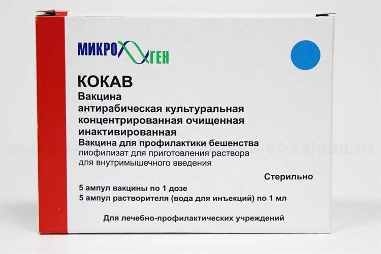 Схема прививок от бешенства для человека: как проводят вакцинацию в профилактических целях и в случае укуса животного  Схема прививок от бешенства для