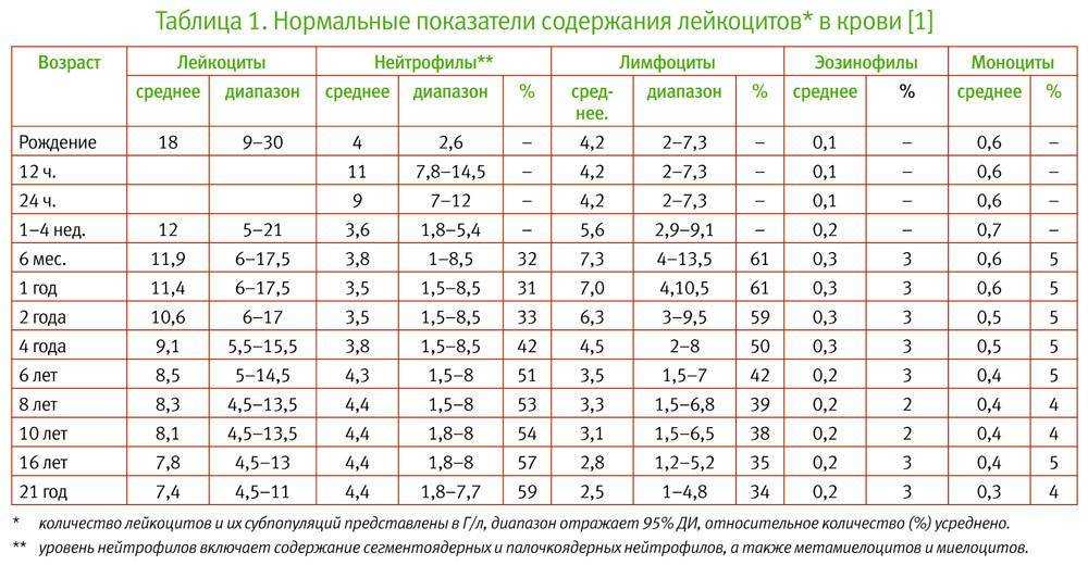 Повышенные лимфоциты в крови у ребенка: 7 причин повышения, подготовка к анализу, расшифровка результатов