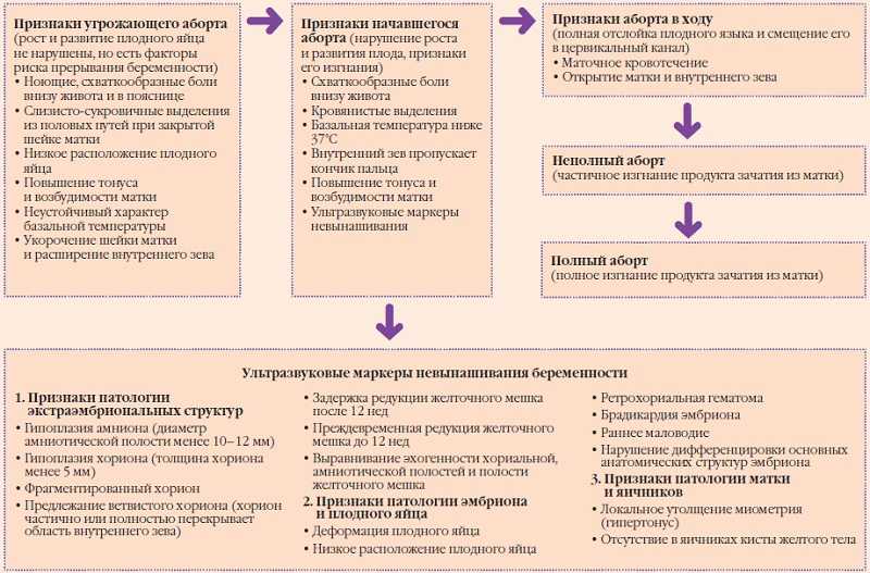 Болит пупок при беременности: причины и лечение