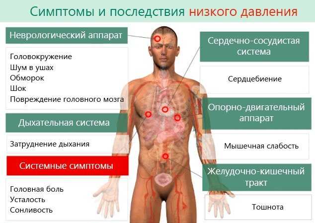 Сосуды шеи: роль, патология, диагностика (узи/уздг, мрт, мскт), лечение