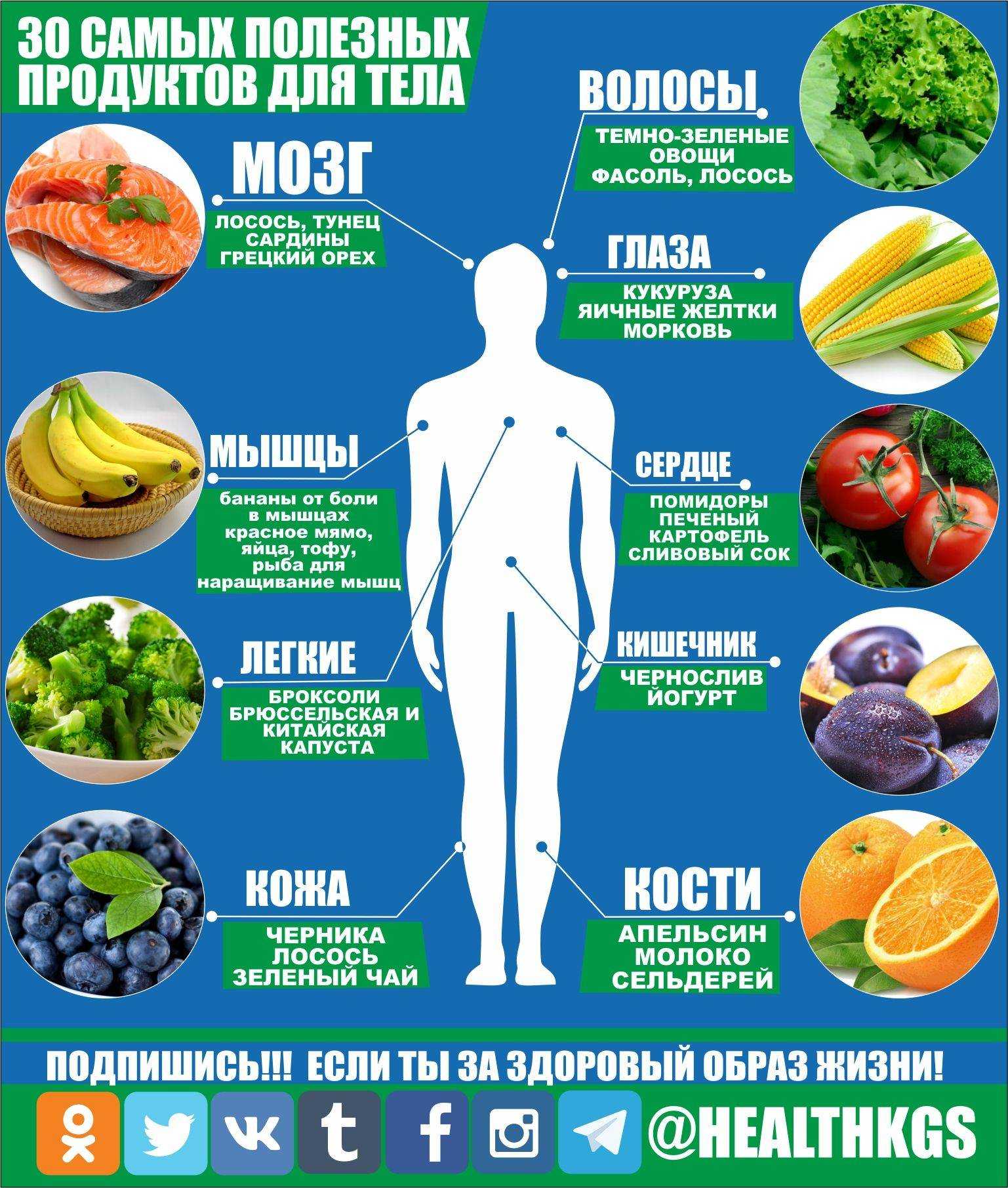 Питание для укрепления связок и сухожилий – 7 полезных продуктов по мнению ученых