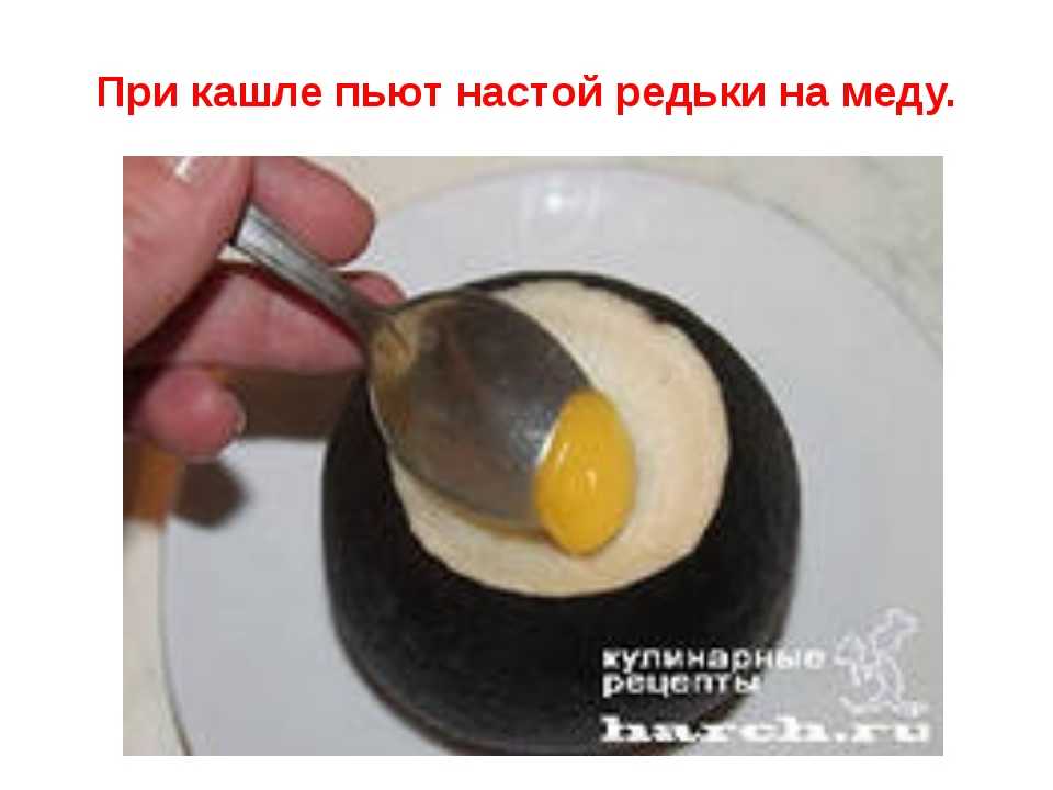 Зеленая редька с медом от кашля: как приготовить и принимать, стоит ли использовать черный корнеплод, а также помогает ли рецепт детям