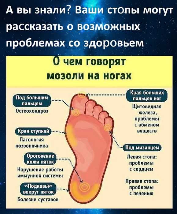 Проявления васкулита на ногах, симптомы, лечение и последствия болезни