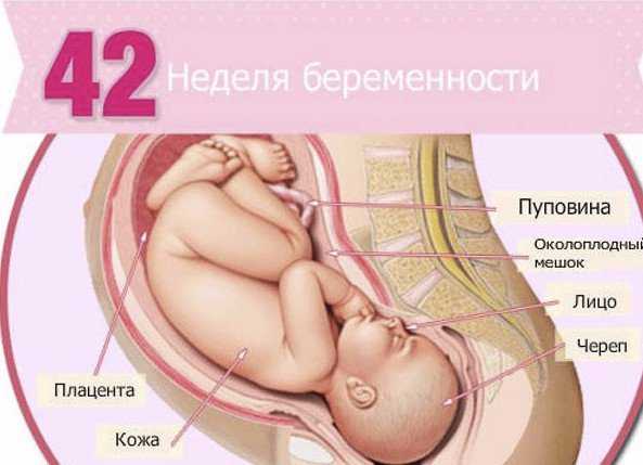 40 неделя беременности: каменеет живот, предвестники родов, выделения, вторые роды / mama66.ru