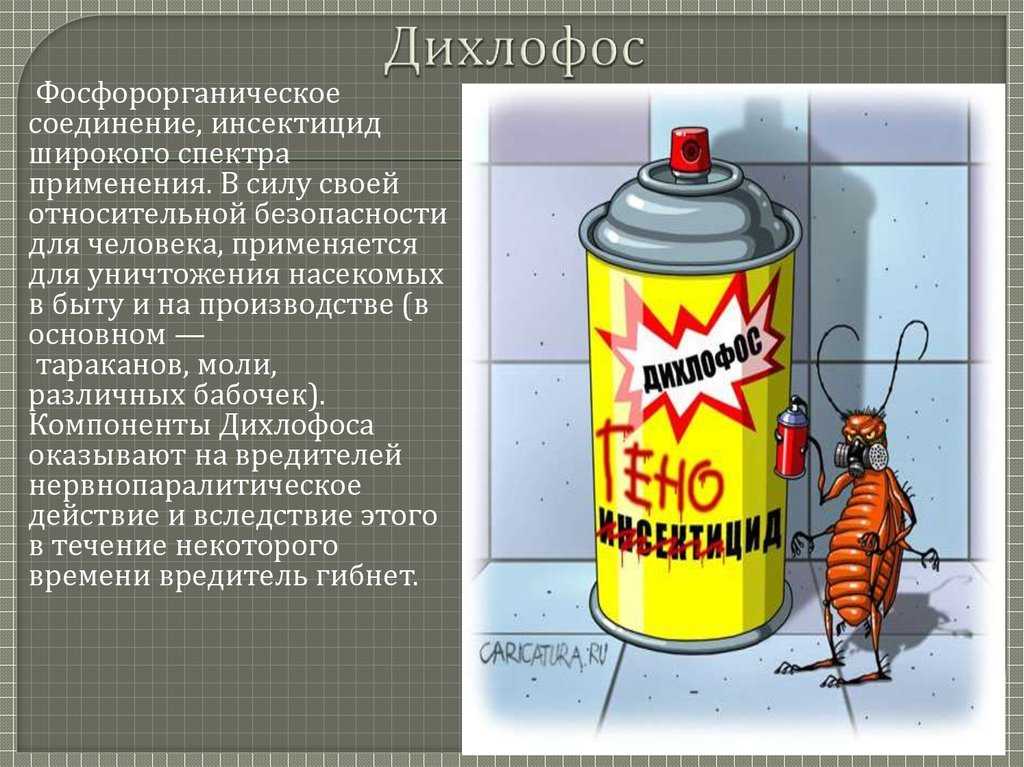 Дихлофос от вшей и гнид: можно ли пользоваться, меры предосторожности, отзывы