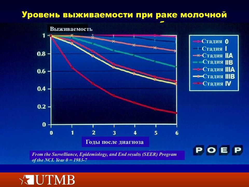 Рак молочной железы химиотерапия до операции | центр эндоваскулярной хирургии капранова с.а.