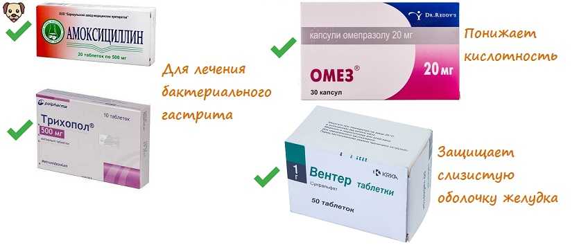 Вентер при воспалении кишечника