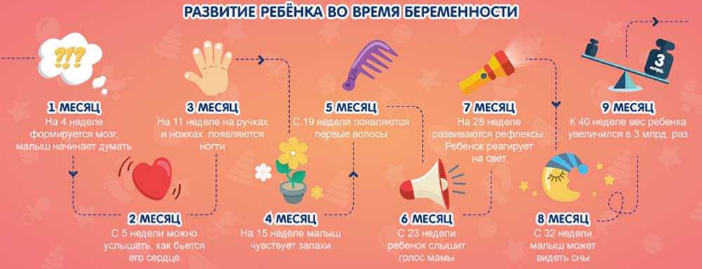 Двадцать седьмая неделя беременности