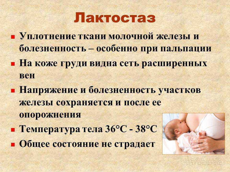 Низкое давление при гв и высокое: причины и симптомы заболевания в период грудного вскармливания, рекомендации мамам, что делать для облегчения состояния