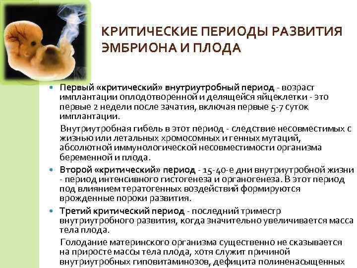 Опасные недели беременности: как снизить угрозы для плода