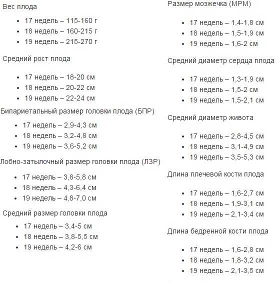 Норма частоты сердечных сокращений плода в утробе матери: таблица показателей сердцебиения по неделям