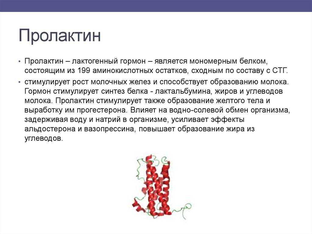 Пролактин у мужчин: норма по возрасту, причины повышенного и пониженного уровня гормона, лечение