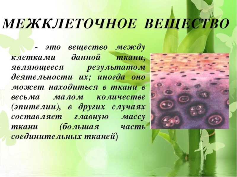 Ткани - теория