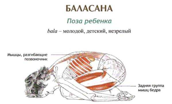 Поза ребенка (баласана): польза и техника выполнения