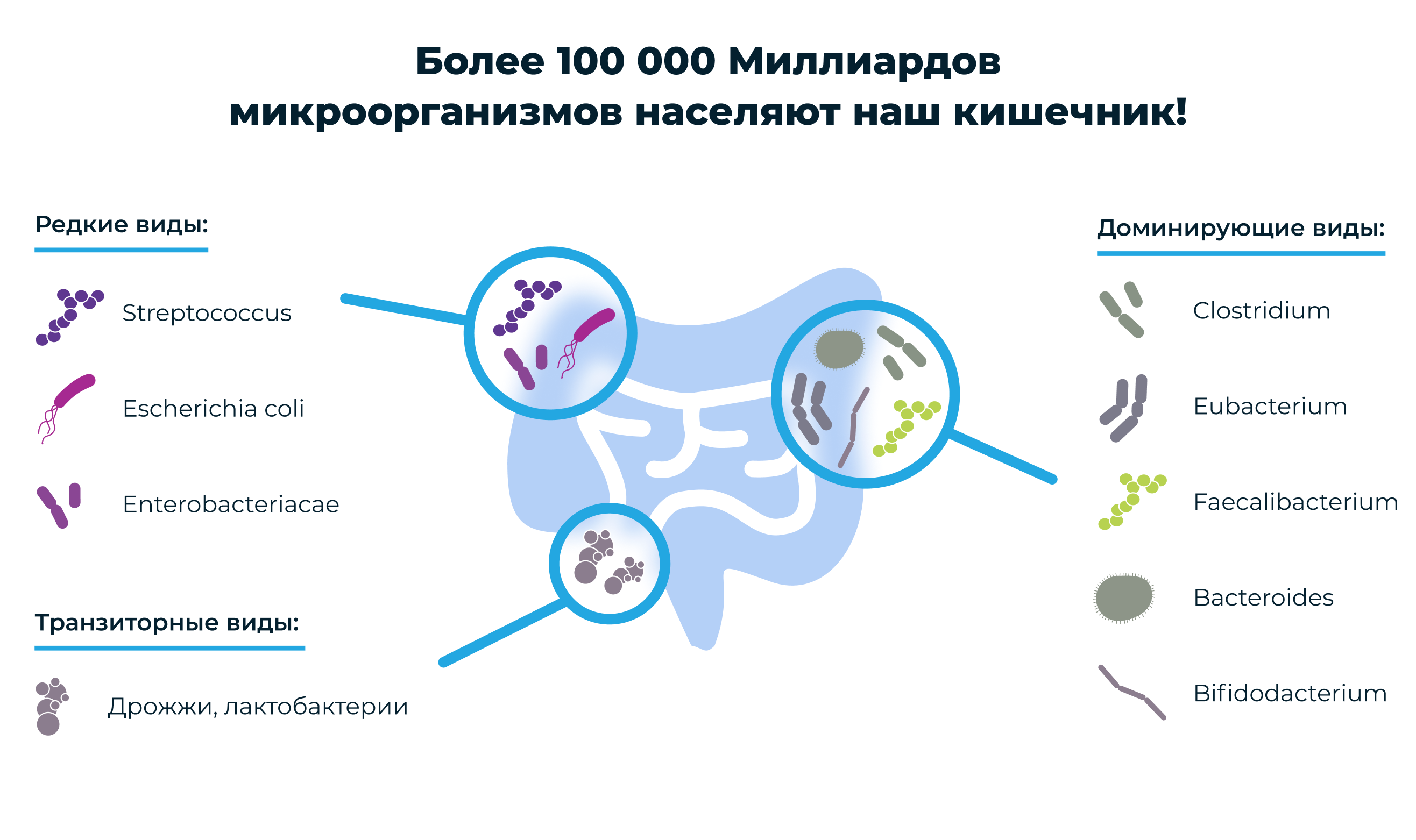 Противодиарейные кишечные противовоспалительные и противомикробные препараты