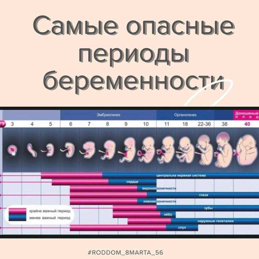 Самые опасные периоды беременности?
