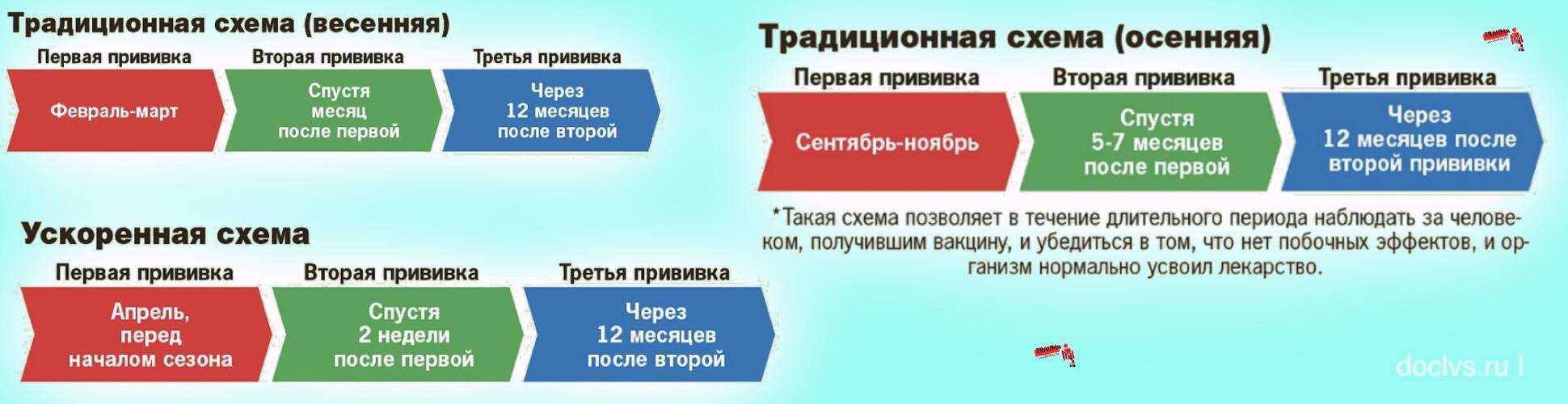 Вакцинация против клещевого энцефалита
